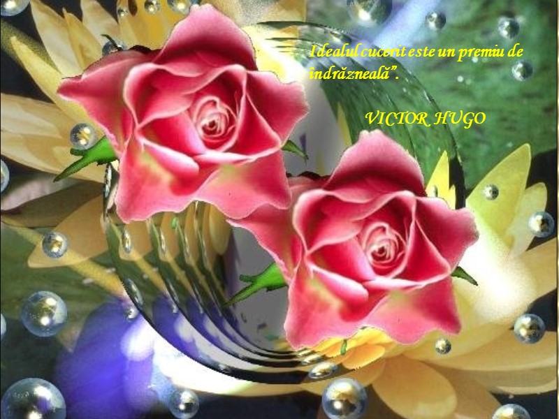 Idealul cucerit este un premiu de îndrăzneală”.      VICTOR 